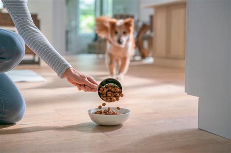 Hills Pet Nutrition lanza su primera campaña en televisión Campañas