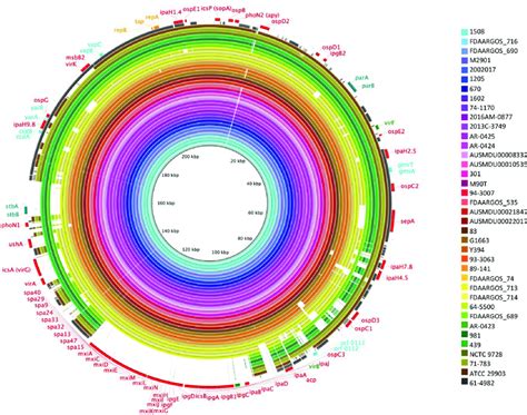 Alignment Of S Flexneri Pinvs Showing Deletions Involving