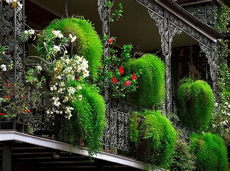 New Orleans French Quarter Cast Iron Balcony And Floral B Flickr