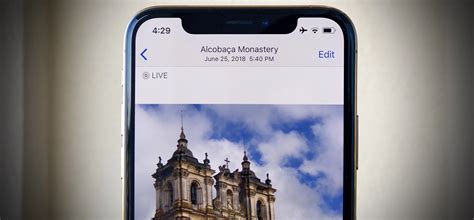 The Easiest Way To Share Your IPhone's Live Photos With Android Users