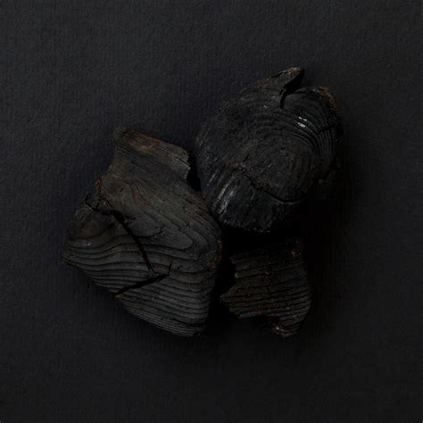 Burnt Offerings :: Behance