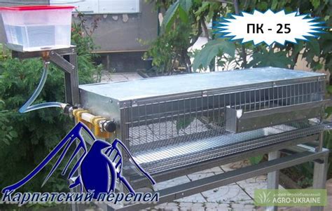Продам клетки для перепелов, купить клетки для перепелов, Киевская обл ...