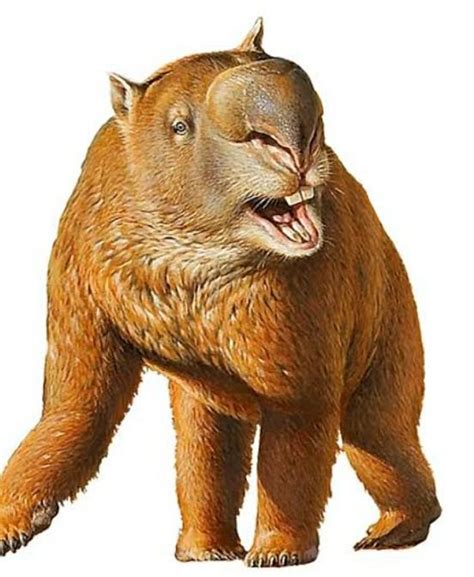 Diprotodon - The Giant Wombat! - Creature submission archive - ARK - Official Community Forums