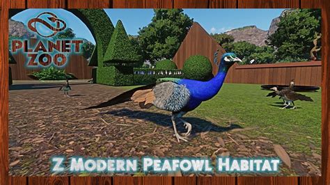 Z Modern Peafowl Habitat Planet Zoo Youtube