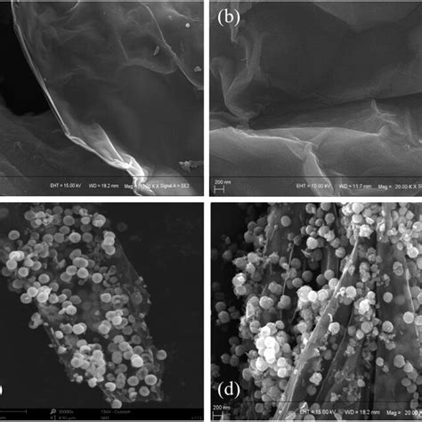 A And B Sem Images Of Go C And D Sem Images Of Rgo Fe O