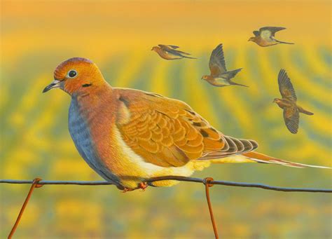 Upland Game Bird Stamp Art Contest