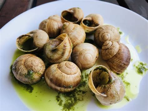 French Food Snails