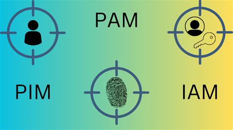 Qu Est Ce Que La Gestion Des Identit S Privil Gi Es Pim Et Quels En