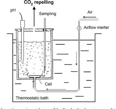 Figure 1 From Phosphate Recovery Through Struvite Precipitation By Co2