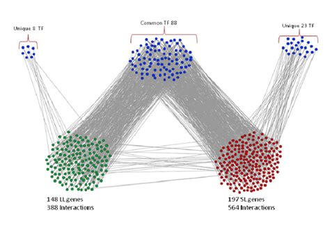 Figure S1: Transcriptional regulation of long lived and short lived ...