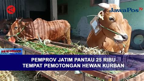 Pemprov Jatim Pantau Ribu Tempat Pemotongan Hewan Kurban Beranda