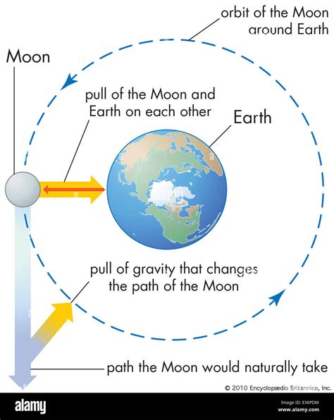 Effects of gravity on the moon and earth hi-res stock photography and ...