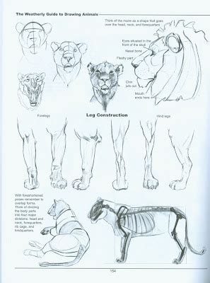 Assignment List: Quadruped Creature