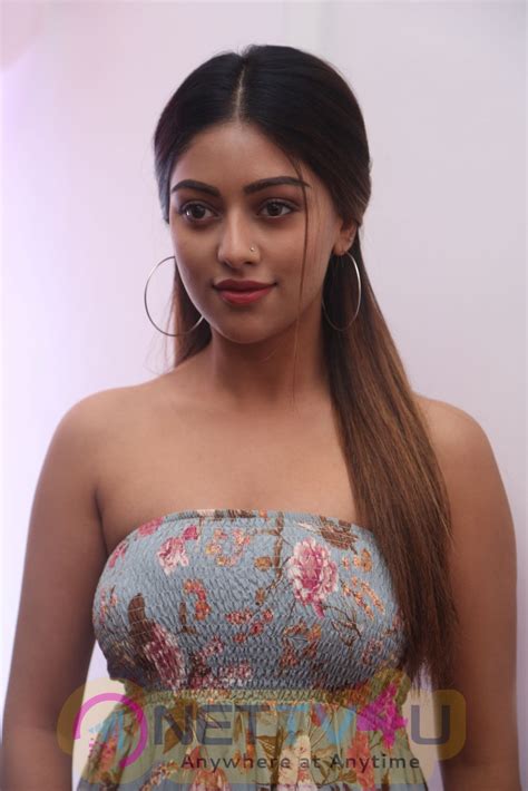 Actress Anu Emmanuel Hot Images Galleries HD Images