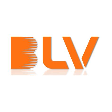 Shenzhen BLV Technology Co., Ltd* - Unmanned Network