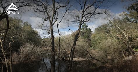 Best hikes and trails in Stephen Foster Folk Culture Center State Park | AllTrails