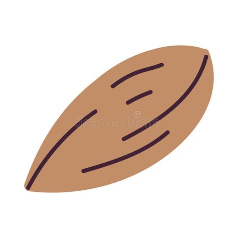 Isolated Sketch of an Almond Icon Vector Stock Vector - Illustration of isolated, almond: 250440797