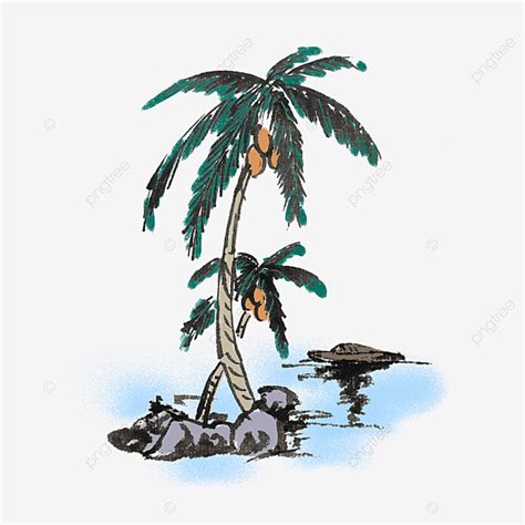 Summer Coconut Tree Png Transparent Summer Coconut Tree Hand Drawn