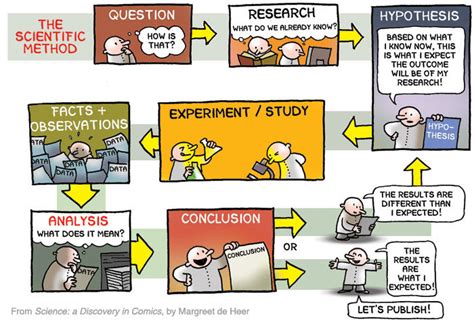 What is the scientific method and how does it relate to biology? – AP ...