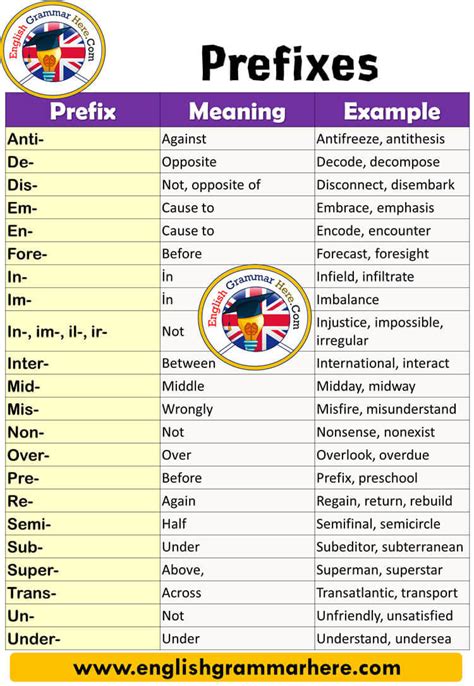 Examples Of Prefixes Printable Templates Free