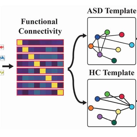 Functional Graph Construction Estimate Functional Connectivity