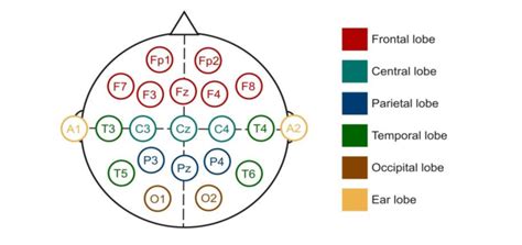 EEG Electrode Positions According To The 10 20 System The Names Of The