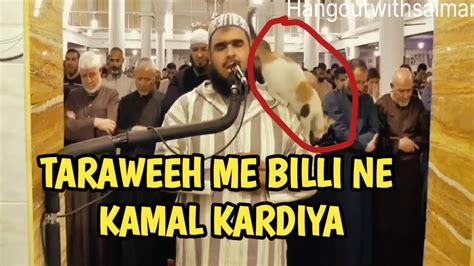 Imam And Cat Viral Video 🐈 Cat Jumps On Imam During Ramadan Prayers In Algeria Youtube