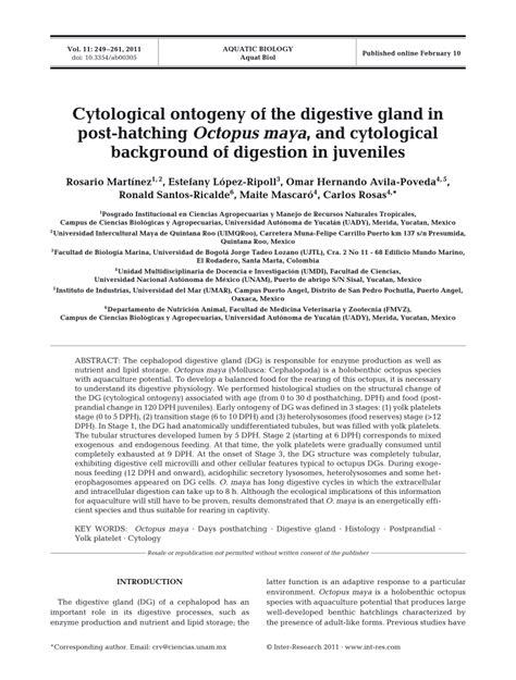 PDF Cytological Ontogeny Of The Digestive Gland In Post Hatching