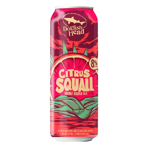 Dogfish Head Citrus Squall Double Golden Ale Beer Shop Beer At H E B