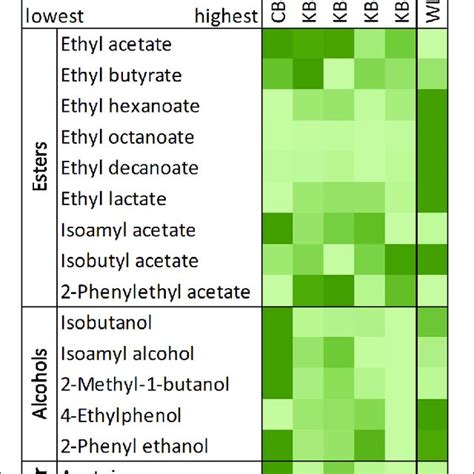 | Scanning electron microscopy (SEM) pictures of the yeast strains (A ... 