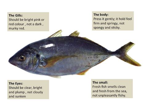 Taste My Sushi How To Tell If A Fish Is Fresh