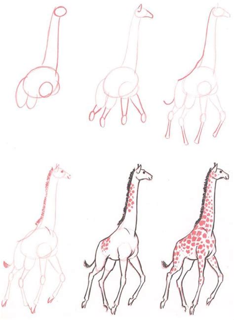 Ways To Draw A Giraffe Like A Cartoonist Bored Art Giraffe