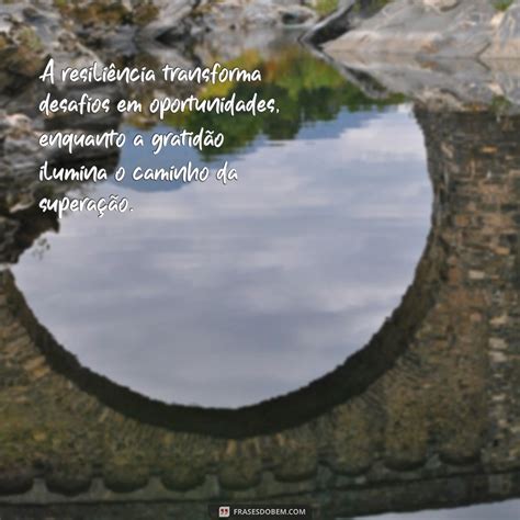 Frases De Resiliência E Gratidão - Frases Inspiradoras sobre Resiliência e Gratidão para Transformar sua ...