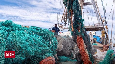 Plastikabfall Im Meer Wie Plastik Sammeln Meerestieren Schadet