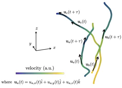 Schematic Of The Lagrangian Velocity Increment In A Cartesian