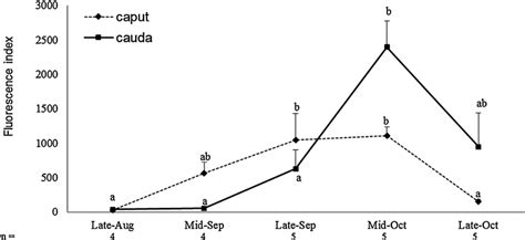 Reactive Oxygen Species Production By Epididymal Spermatozoa Of