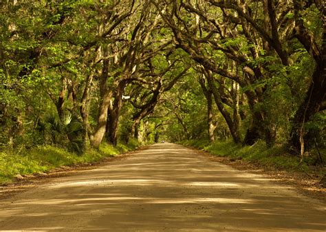 8 Reasons Why Spring Is The Best Time To Visit Charleston, South
