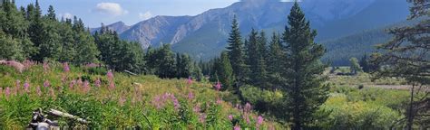 Titan Falls And The Weeping Wall Alberta Canada 57 Reviews Map