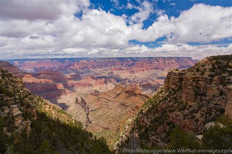 Grand Canyon National Park Photos By Ron Niebrugge