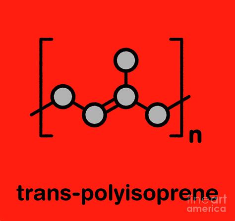 Trans-polyisoprene Polymer Chemical Structure Photograph by Molekuul/science Photo Library - Pixels