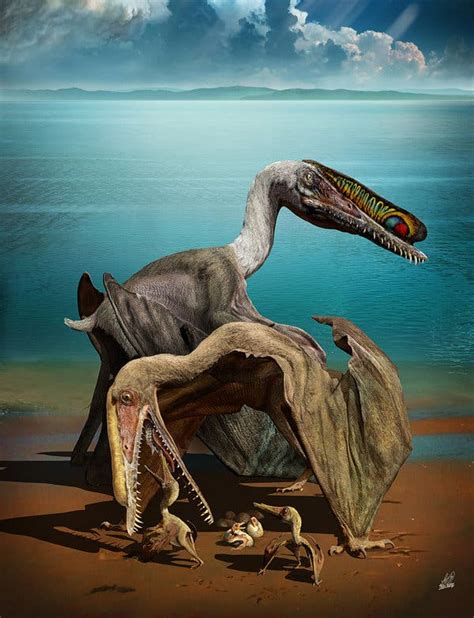 Hundreds Of Fossilized Pterosaur Eggs Uncovered In China The New York