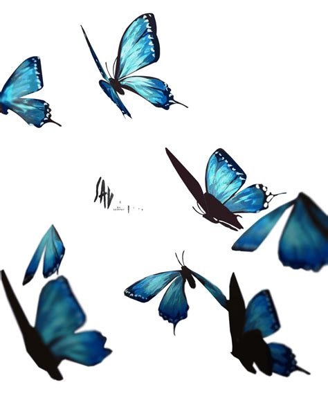 Butterflies Premium Transparent Art Without Watermark