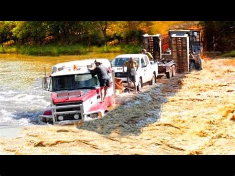 Fastest Logging Truck Cars Fails Crazy Drivers In Off Road Dangerous