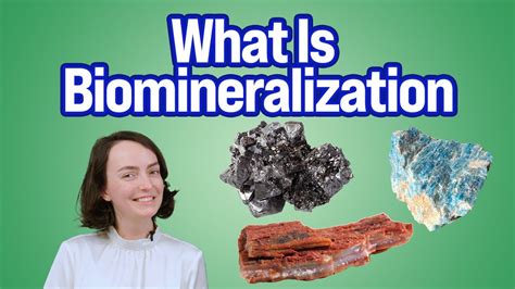 Building Bones | What Is Biomineralization? - YouTube