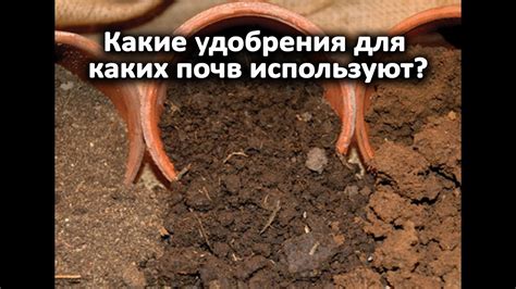 Особенности использования удобрения для разных типов почв: количество и ...