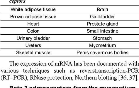 Receptors, Adrenergic, beta-3 | Semantic Scholar