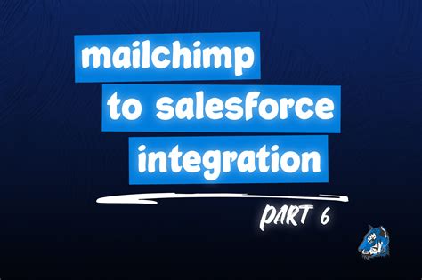 Mailchimp To Salesforce Integration Create Campaign Members Blu