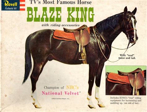 National Velvet