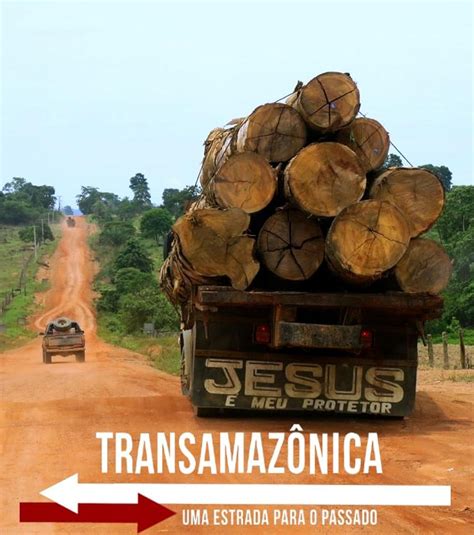 Transamazônica Uma Estrada para o Passado Onde a estrada e a terra