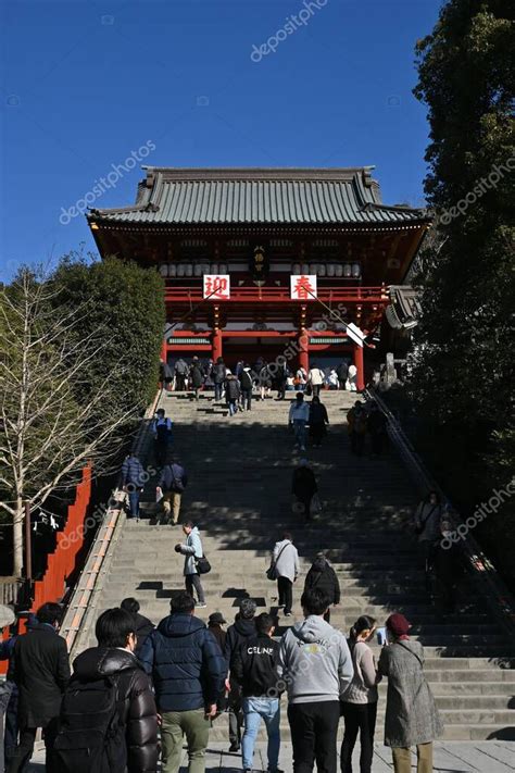 Tourist Attractions In Japan Kamakura Tsurugaoka Hachimangu Shrine This